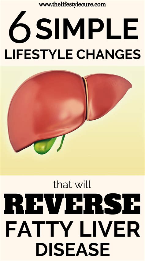 Fatty Liver: You Can Reverse It