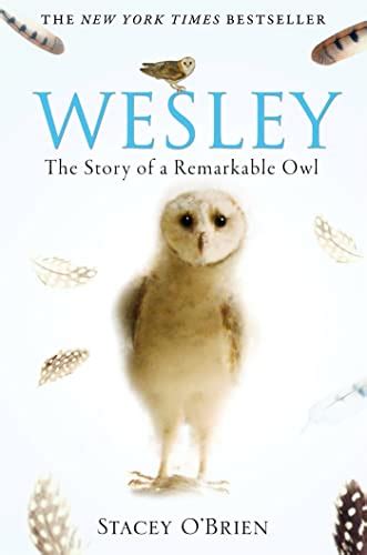 [Wesley: The Story of a Remarkable Owl] [By: Stacey O'Brien] [July, 2009]