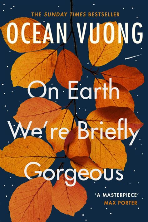 On Earth We're Briefly Gorgeous & Night Sky with Exit Wounds By Ocean Vuong 2 Books Collection Set
