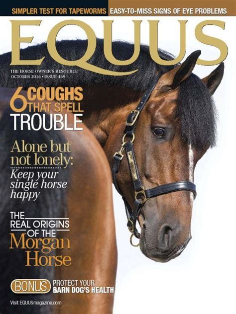 Equus Magazine # 240 October 1997 (Single Issue Magazine)