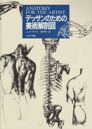 Art anatomical drawings for Drawing (1992) ISBN: 487199032X [Japanese Import]