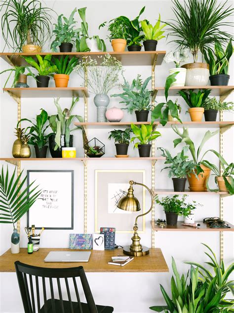 Home Sweet Houseplant: A Room-by-Room Guide to Plant Decor (Living with Plants)