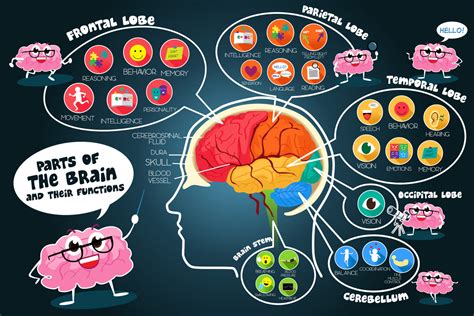 How the Brain Creates the Mind