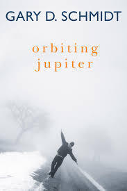 Orbiting Jupiter books