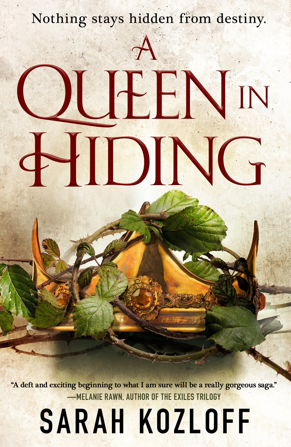 A Queen in Hiding (The Nine Realms, #1) books