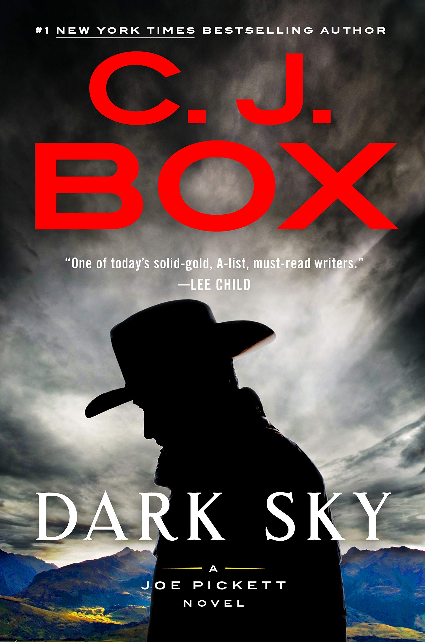 Dark Sky (Joe Pickett, #21) Buchen