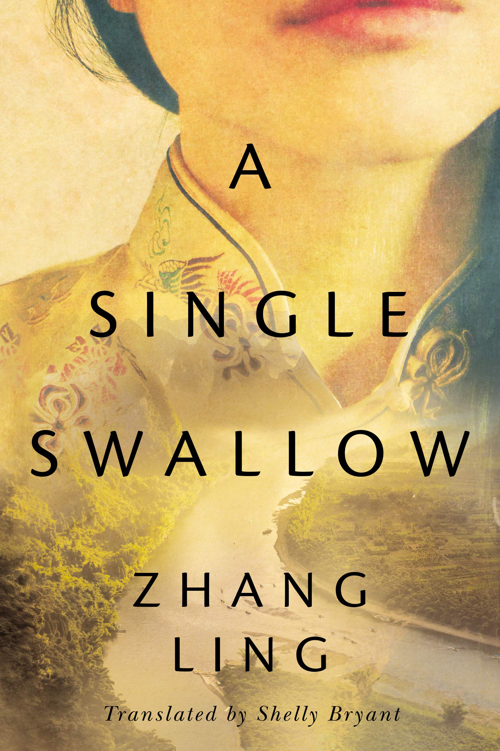 A Single Swallow libro