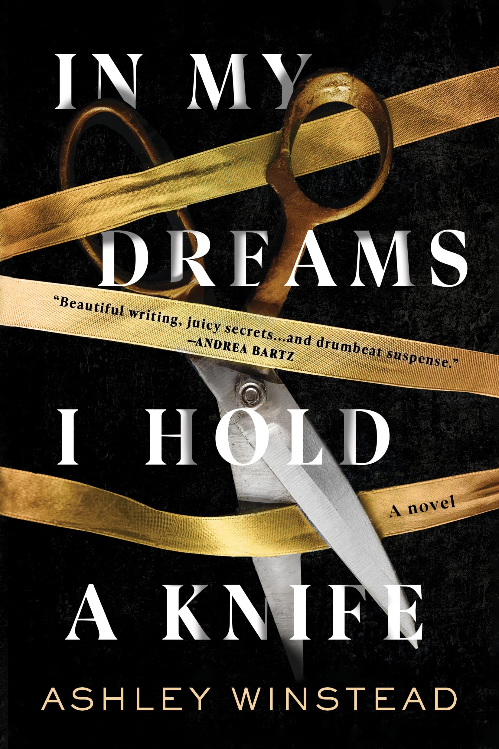 In My Dreams I Hold a Knife books