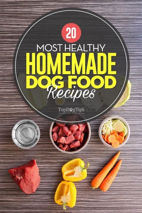 HOMEMADE HEALTHY DOG FOOD RECIPES COOKBOOK: Quick and Easy dog food recipes and healthy dishes to feed your pet safely.