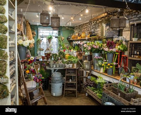The Flower Shop: A Year in the Life of an English Country Flower Shop