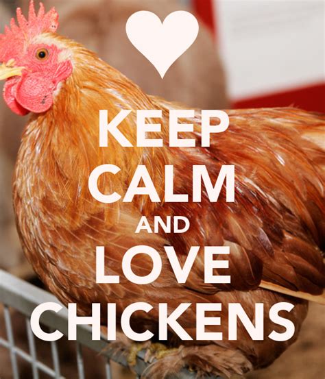Love & Chickens