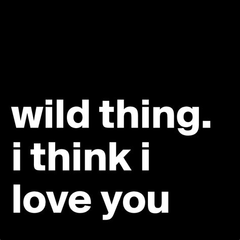 Love You Wild