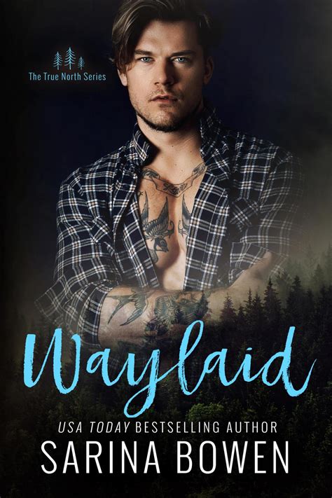 Waylaid (True North, #8)