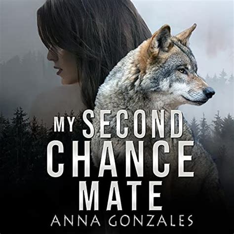 My Second Chance Mate: A Shifter Romance