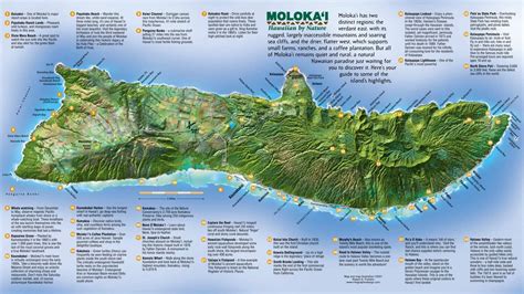 Moloka'i (Moloka'i, #1)