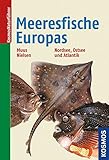 Die Meeresfische Europas: in Nordsee, Ostsee und Atlantik livre