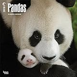 Pandas 2018 Calendar livre