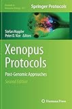 Xenopus Protocols: Post-Genomic Approaches livre