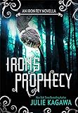 Iron's Prophecy (The Iron Fey) (English Edition) livre