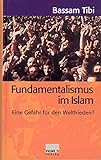 Fundamentalismus im Islam: Eine Gefahr für den Weltfrieden? livre