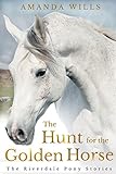 The Hunt for the Golden Horse (The Riverdale Pony Stories Book 7) (English Edition) livre