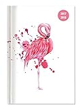 Collegetimer Flamingo 2017/2018 - Schülerkalender A5 - Day By Day - 352 Seiten livre