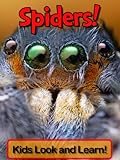 Spiders! Learn About Spiders and Enjoy Colorful Pictures - Look and Learn! (50+ Photos of Spiders) ( livre