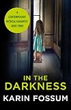 In the Darkness: An Inspector Sejer Novel (English Edition) livre