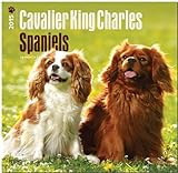 Cavalier King Charles Spaniels 18-Month 2015 Calendar livre