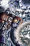 Transformers: War Within Volume 1 livre