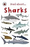 Mad About Sharks (Ladybird Minis) (English Edition) livre