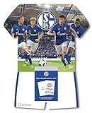 Schalke 04 Tagesabreißkalender 2017 - Fußballkalender Schalke, tägliches Kalenderblatt - 24 x 30 livre