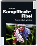 Kampffisch-Fibel - Faszination Betta splendens livre