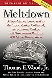 Meltdown: A Free-Market Look at Why the Stock Market Collapsed, the Economy Tanked, and the Governme livre