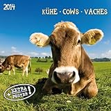 Cows / Kühe 2014. Artwork Edition livre