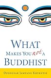 What Makes You Not a Buddhist livre