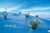 Spirit of Nature 2012: Panorama livre