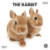 The Rabbit 2015: Broschürenkalender mit Ferienterminen livre