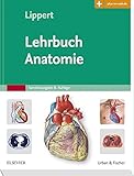 Lehrbuch Anatomie: mit Zugang zum Elsevier-Portal livre