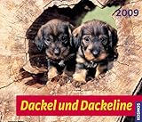 Dackel und Dackeline 2009 livre