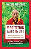 Meditation Saved My Life: A Tibetan Lama and the Healing Power of the Mind livre