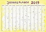 Jahresplaner Cartoon 2019 - Wandkalender / Plakatkalender (50 x 34) livre