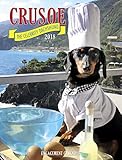 Crusoe the Celebrity Dachshund 2018 Calendar livre