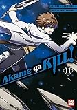 Akame ga KILL! 11 livre
