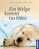 Ein Welpe kommt ins Haus livre