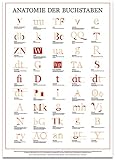 Anatomie der Buchstaben livre