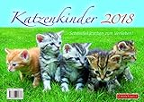 Katzenkinder 2018, Schmußekätzchen zum Verlieben! livre
