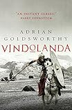 Vindolanda: An authentic and action-packed historical adventure set in Roman Britain (English Editio livre