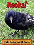 Rooks! Learn About Rooks and Enjoy Colorful Pictures - Look and Learn! (50+ Photos of Rooks) (Englis livre