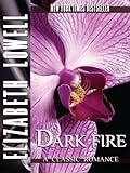Dark Fire (English Edition) livre